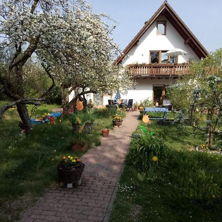 Kleinern Ferienwohnung Beate Engelhardt מראה חיצוני תמונה